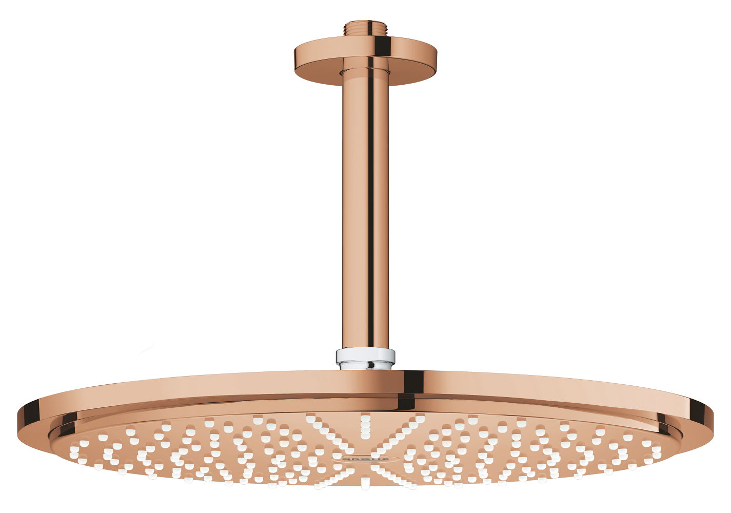 Sen tắm Grohe 26067DA0