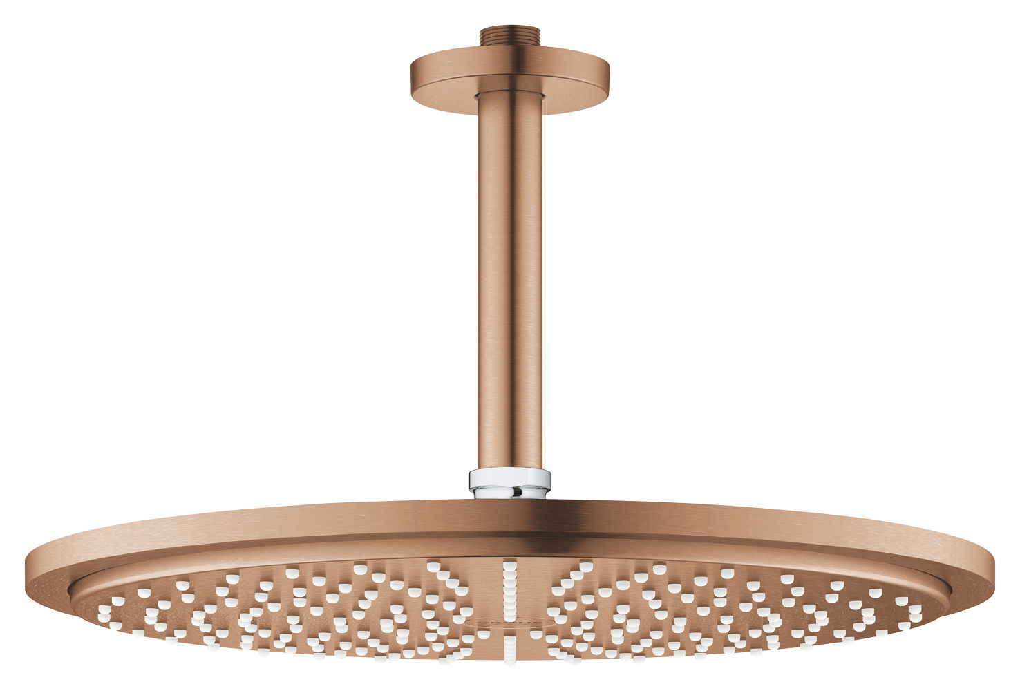 Sen tắm Grohe 26067DL0