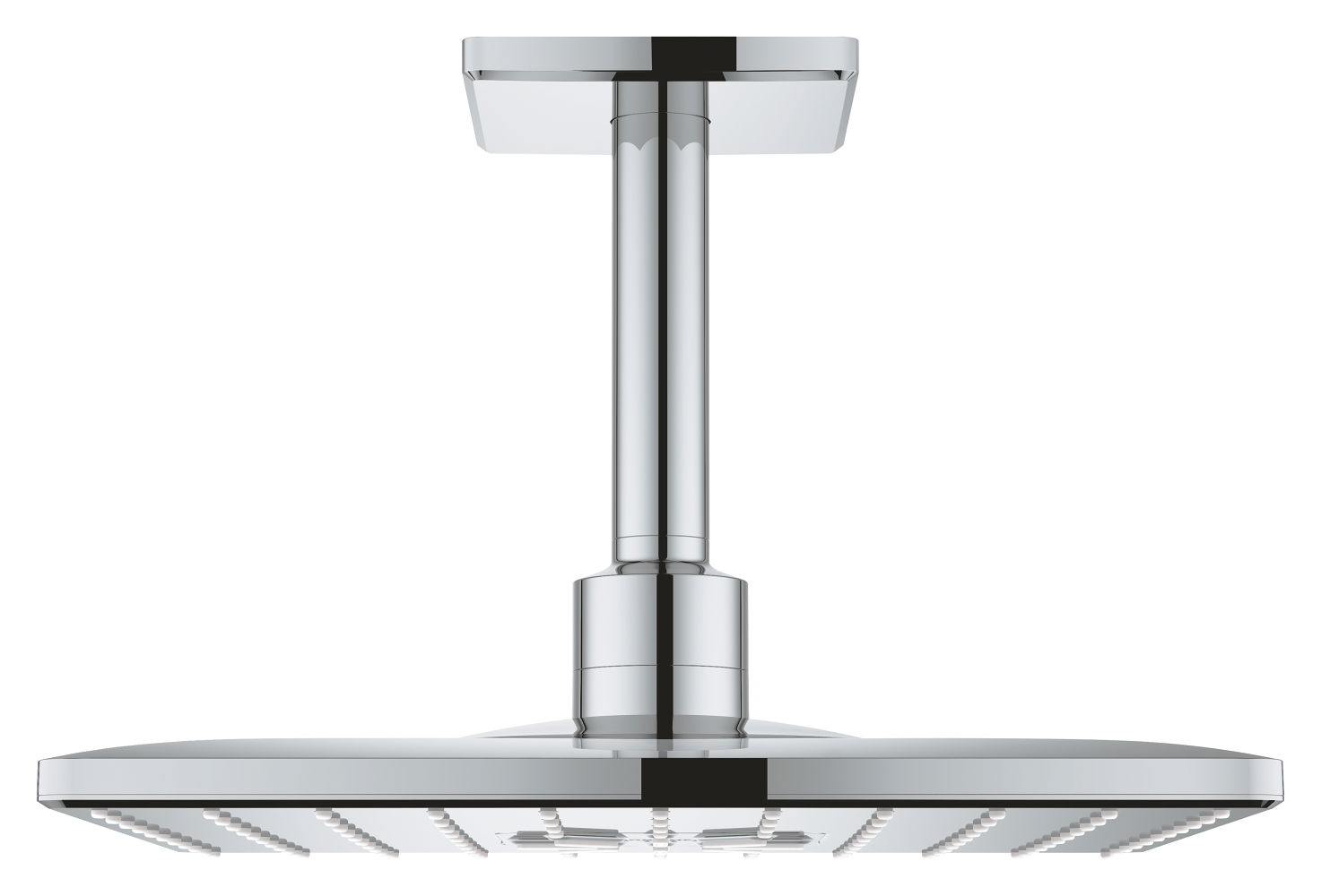 Sen tắm Grohe 26481000