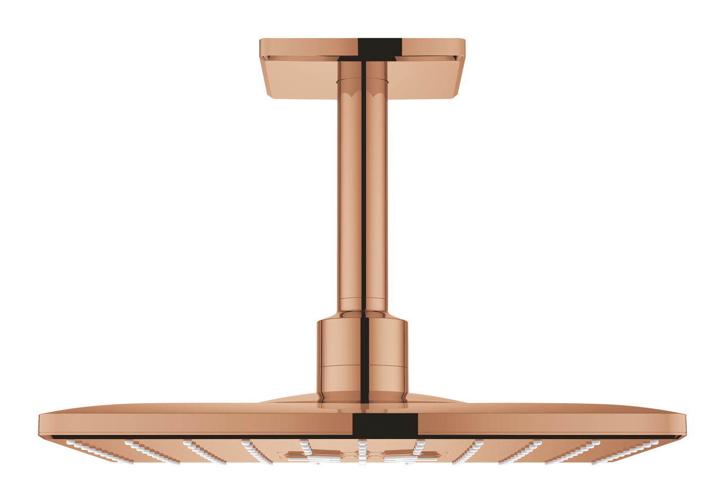 Sen tắm Grohe 26481DA0