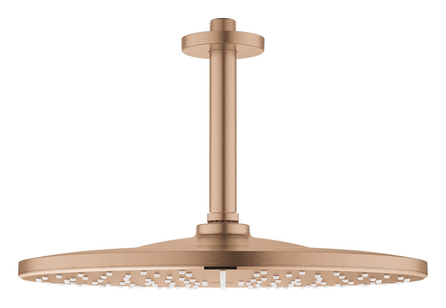 Sen tắm Grohe 26560DL0
