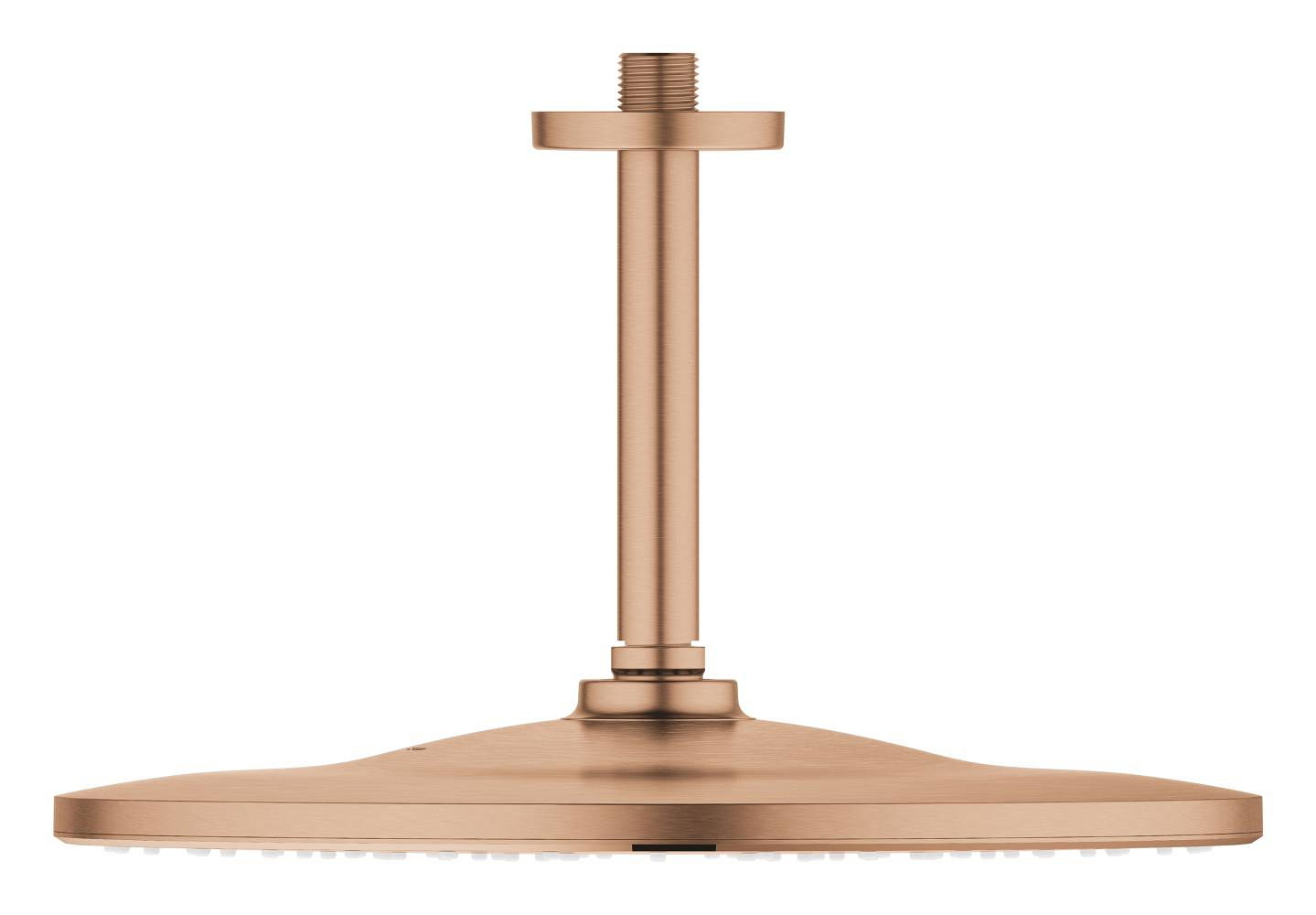 Sen tắm Grohe 26560DL0