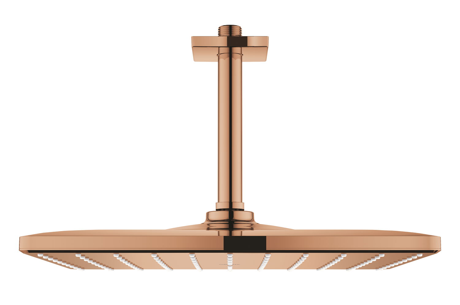 Sen tắm Grohe 26566DA0