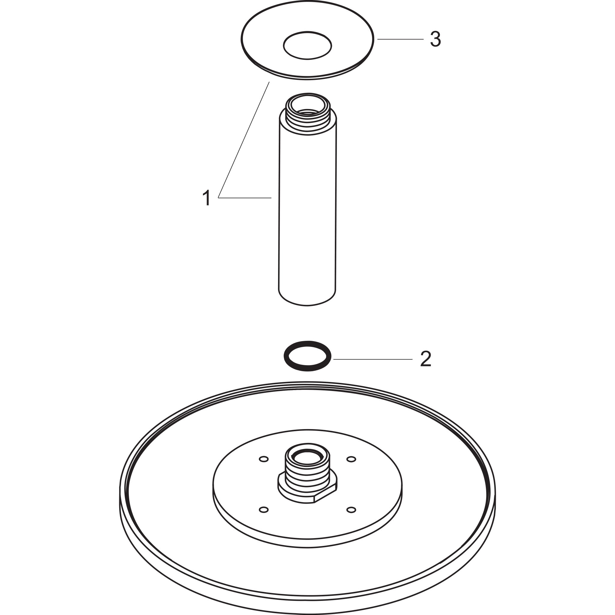 Sơ đồ phụ kiện Nối trần Hansgrohe Raindance S 27494000 Chrome
