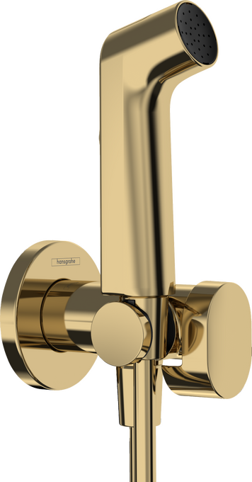 Gác sen Hansgrohe 29232990 EcoSmart Polished Gold Optic