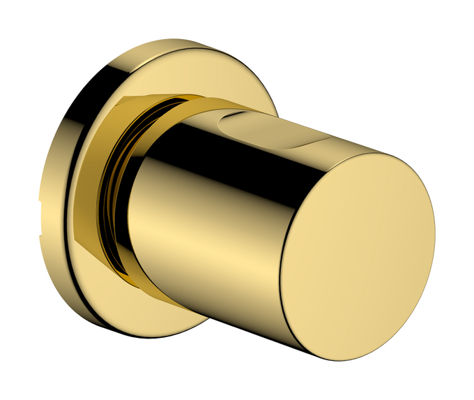 Van khóa Hansgrohe Zesis S 74997990 Polished Gold Optic